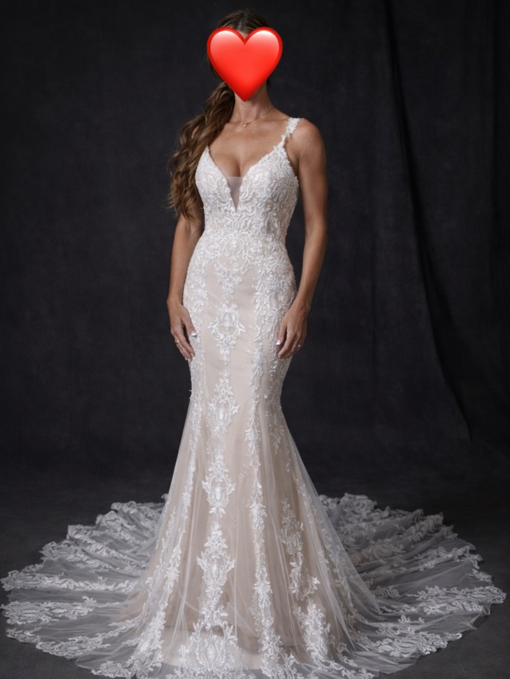 Lace Embellished Mermaid Wedding Gown in Ivory over champagne.